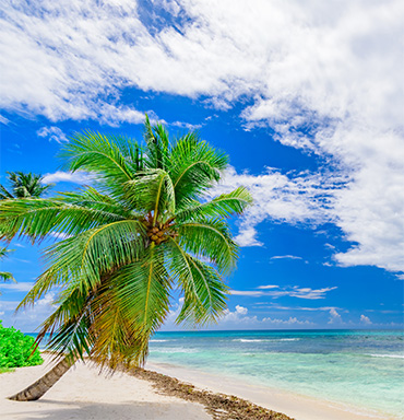 Caribbean destination