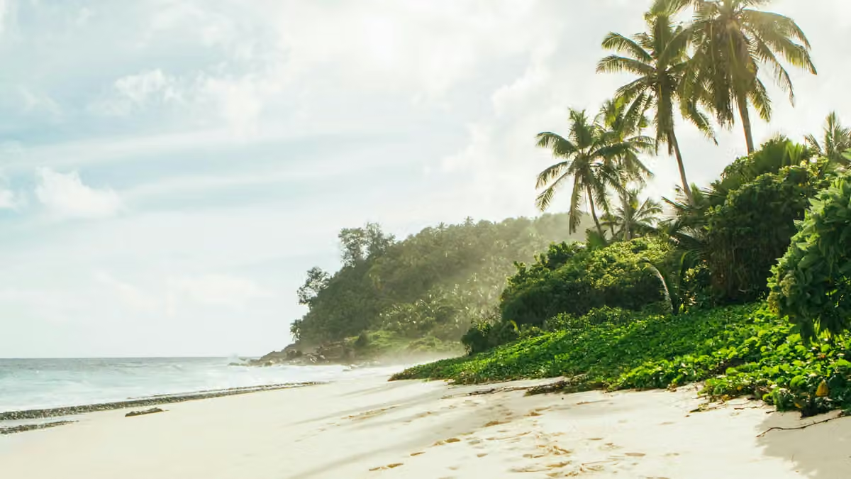 Book cruise and flight packages together for savings
